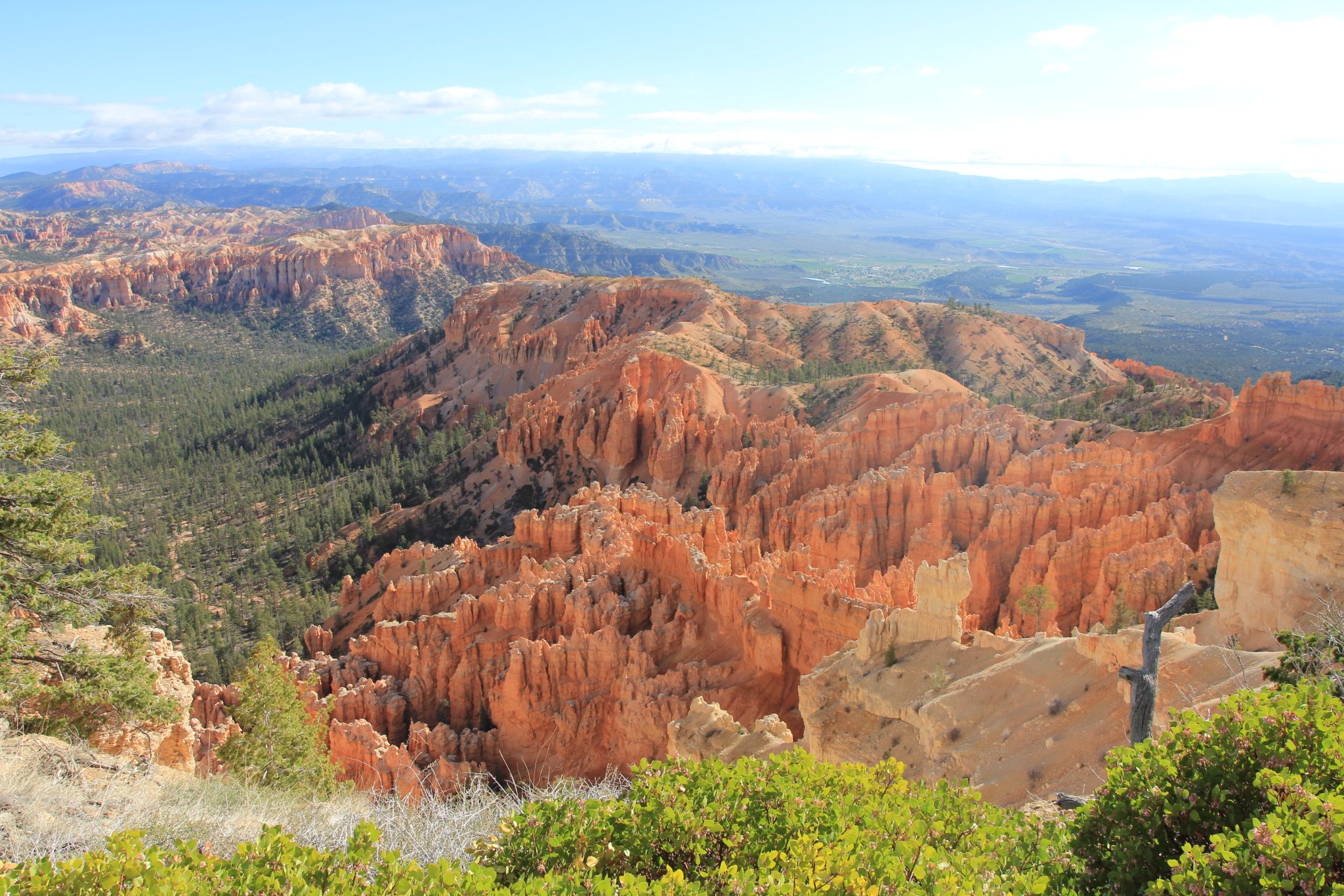 IMG 2717   Copie (2)